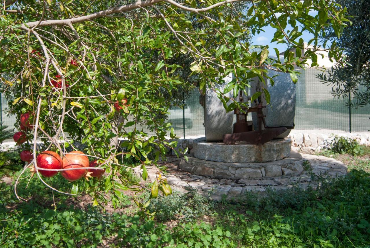 Agriturismo Al Casale Donnafugata Extérieur photo
